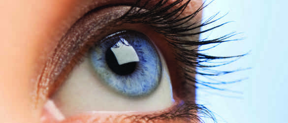 Close up of blue eye looking up