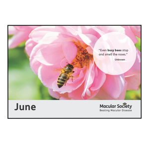 Calendar June Border2