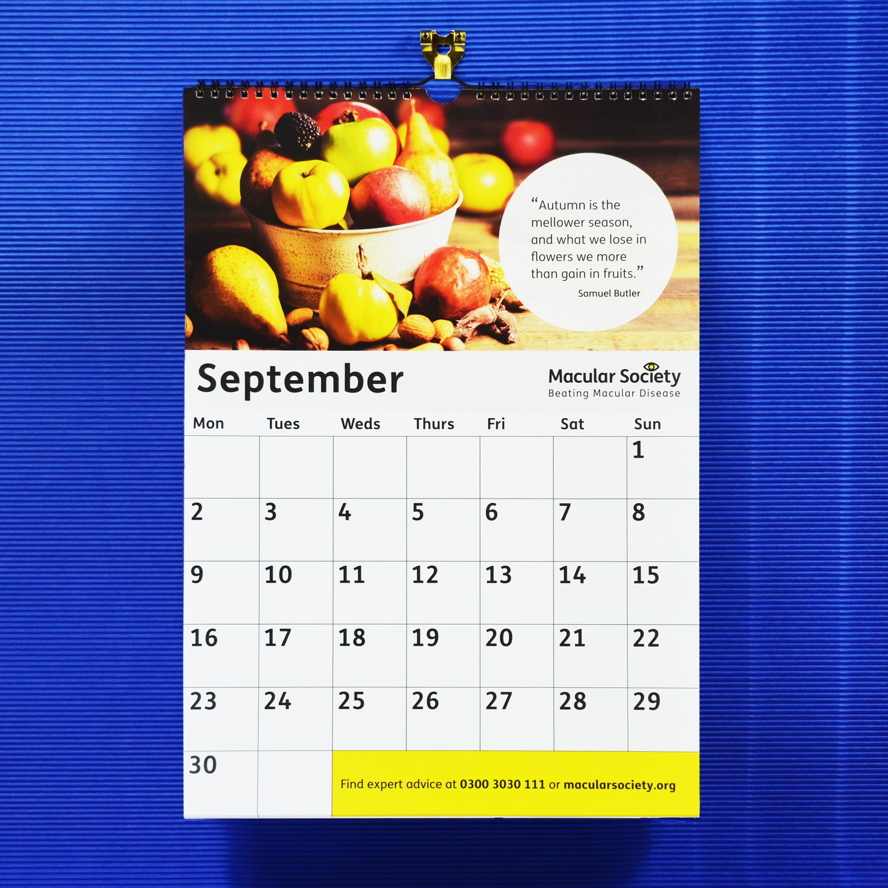 Large print 2024 calendar Macular Society