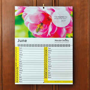 Macular Society Calendar on cupboard (June)