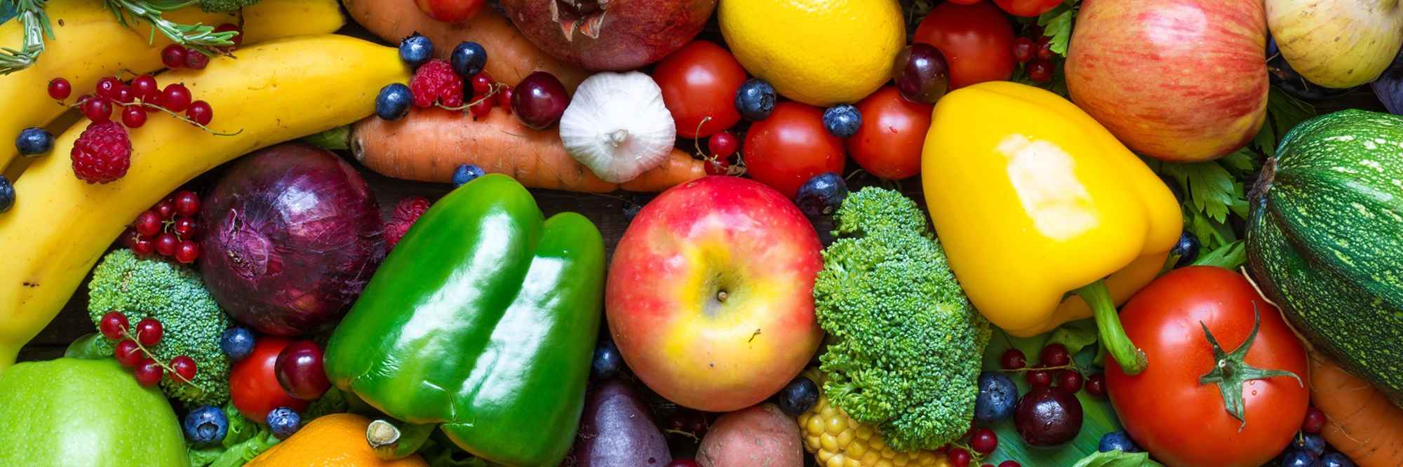 Nutrition and lifestyle primary image