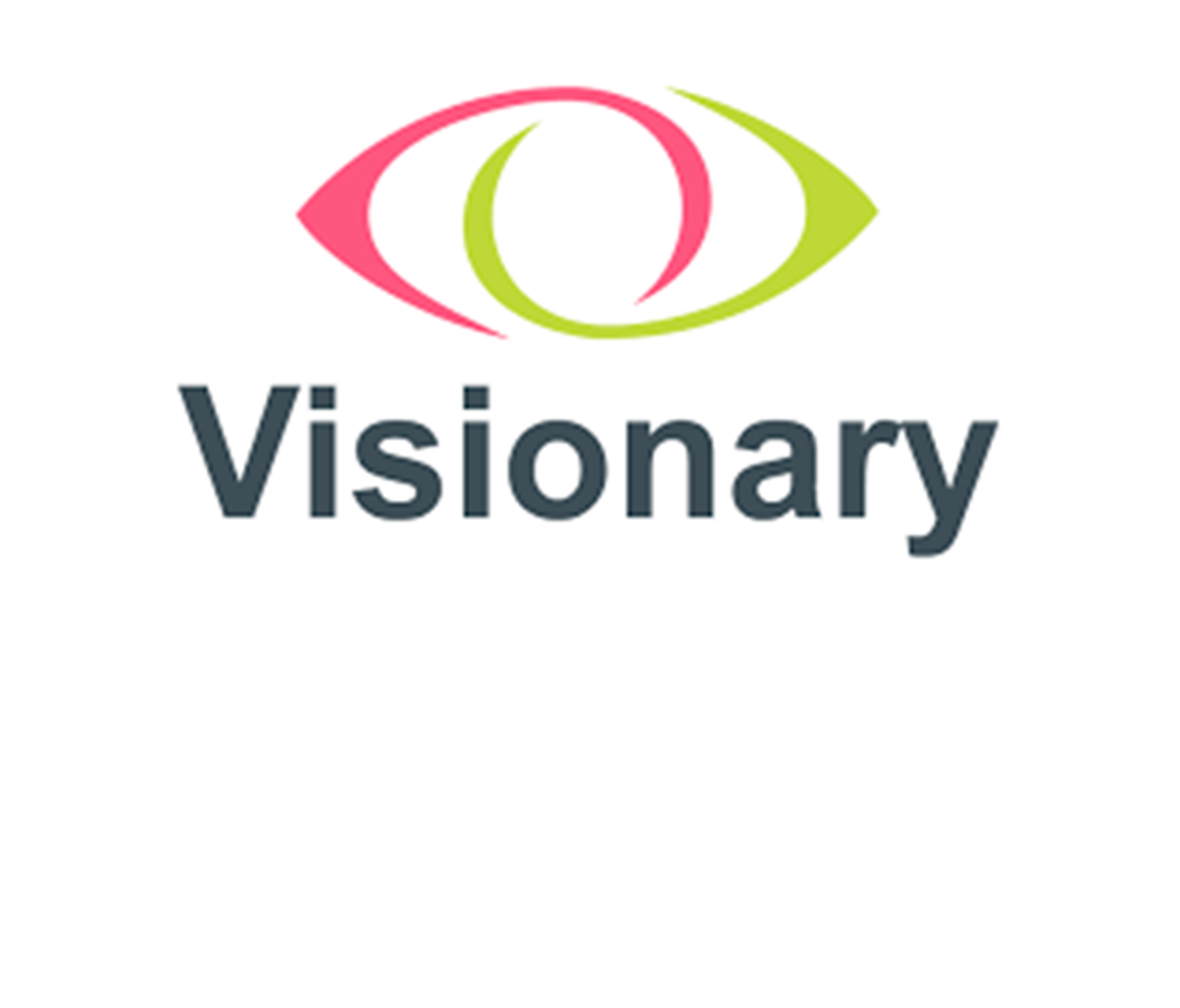 Visionary Logo 