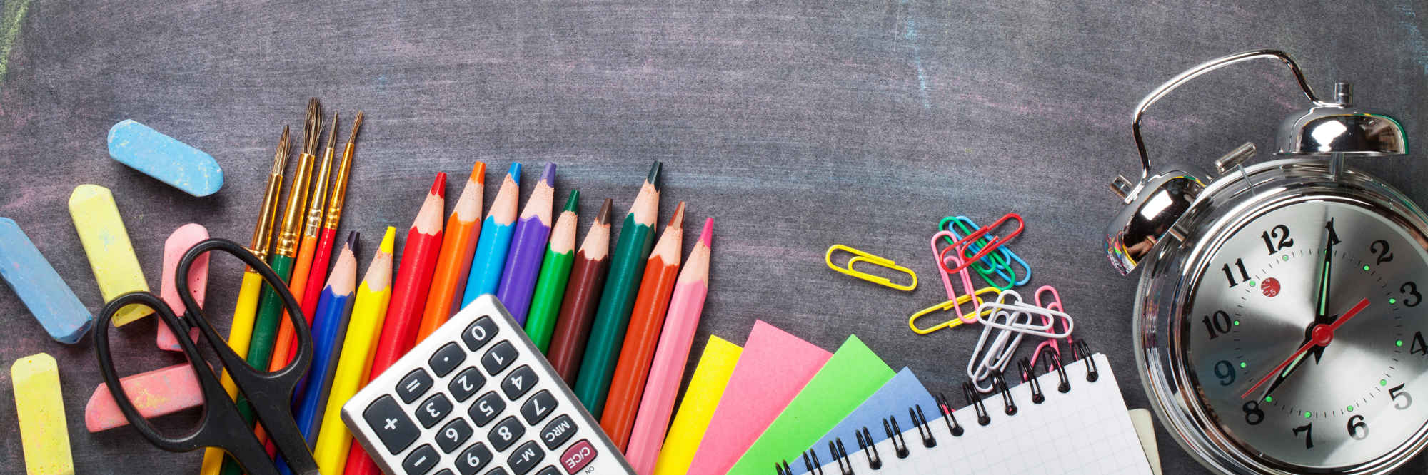 Teaching vision impaired students primary image